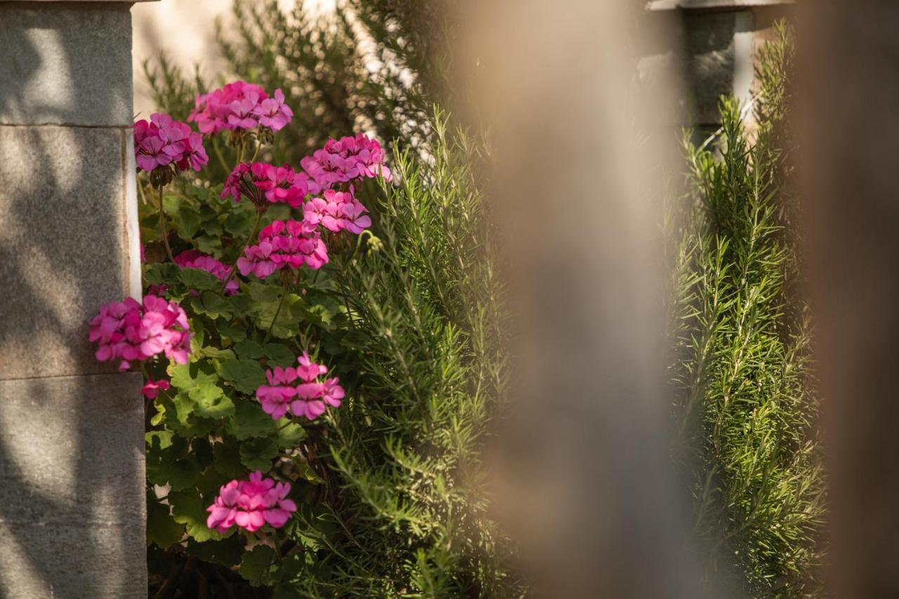 קאטאקולון Villa Georgina B&B מראה חיצוני תמונה