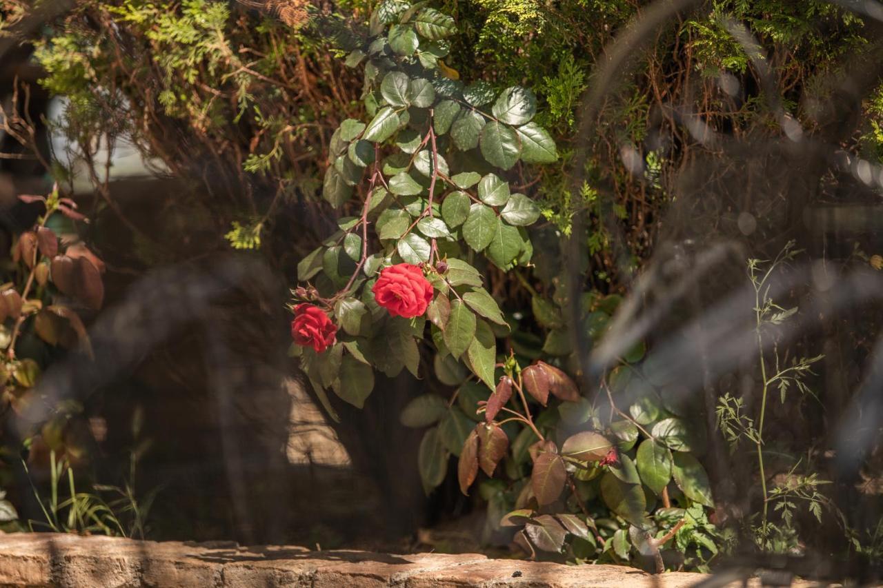 קאטאקולון Villa Georgina B&B מראה חיצוני תמונה